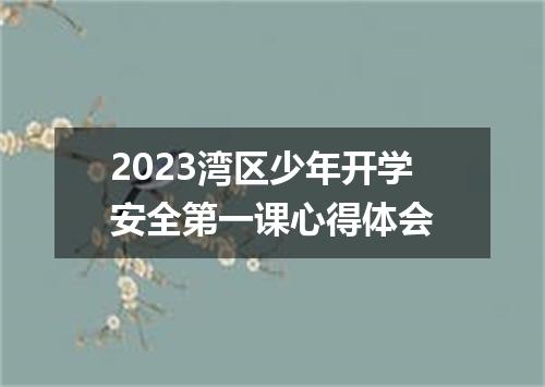 2023湾区少年开学安全第一课心得体会