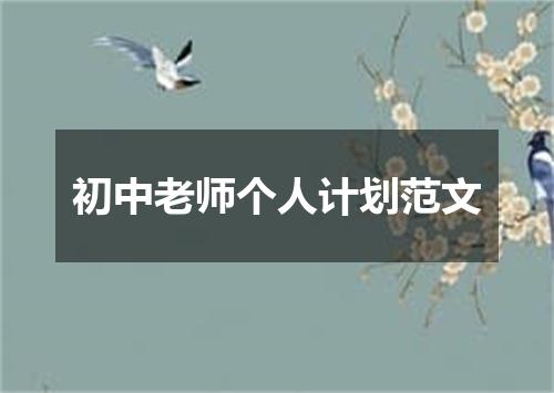 初中老师个人计划范文