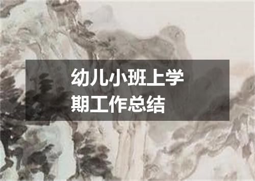 幼儿小班上学期工作总结