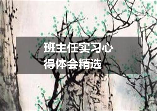 班主任实习心得体会精选