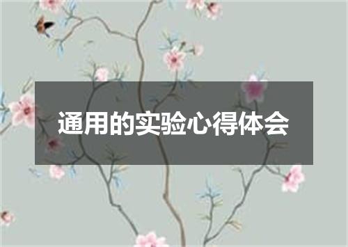 通用的实验心得体会
