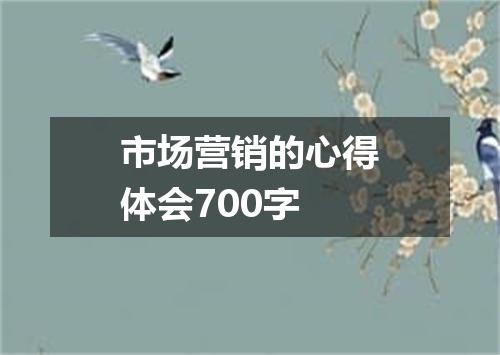 市场营销的心得体会700字
