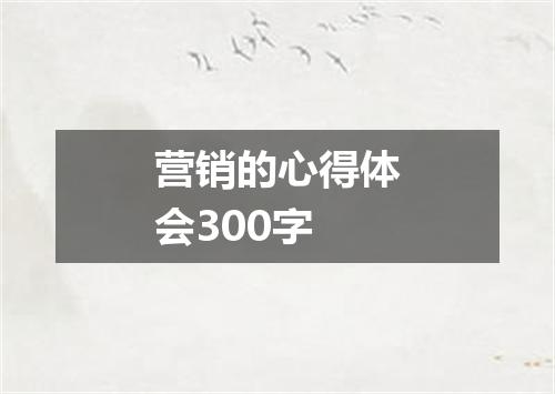营销的心得体会300字
