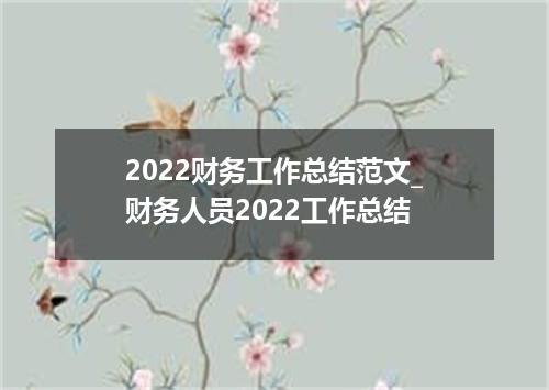 2022财务工作总结范文_财务人员2022工作总结