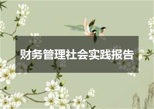 财务管理社会实践报告