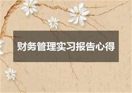 财务管理实习报告心得