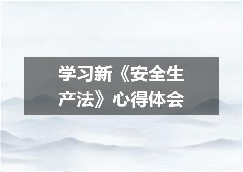 学习新《安全生产法》心得体会