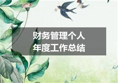 财务管理个人年度工作总结