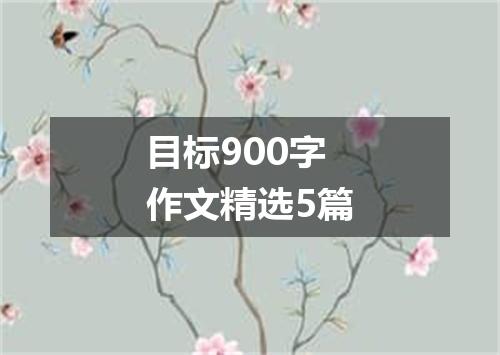 目标900字作文精选5篇