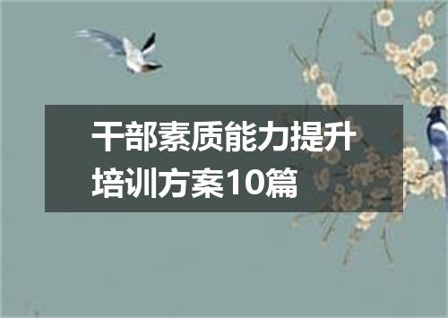 干部素质能力提升培训方案10篇