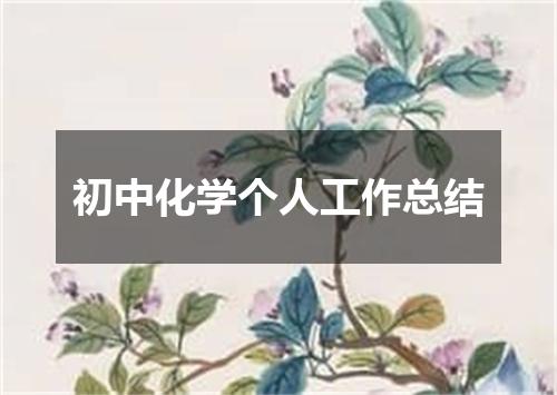 初中化学个人工作总结