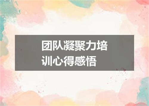 团队凝聚力培训心得感悟