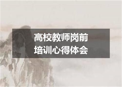高校教师岗前培训心得体会