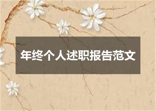 年终个人述职报告范文