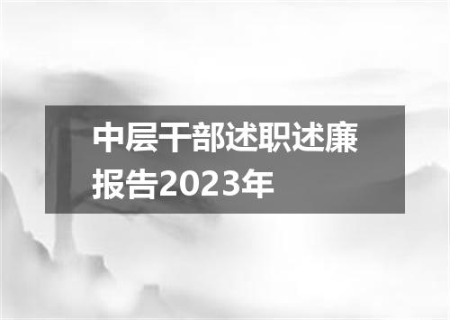 中层干部述职述廉报告2023年
