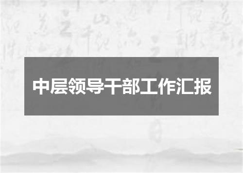 中层领导干部工作汇报
