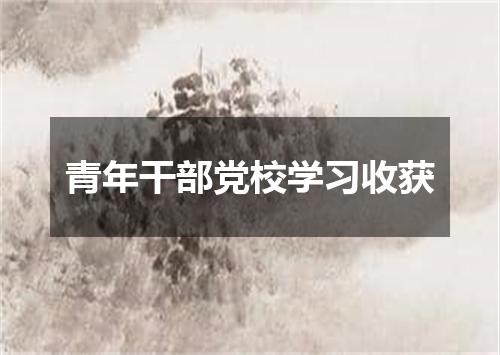 青年干部党校学习收获