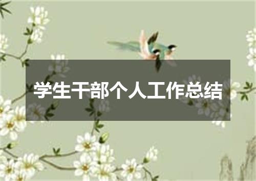 学生干部个人工作总结