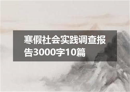 寒假社会实践调查报告3000字10篇