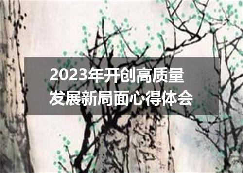 2023年开创高质量发展新局面心得体会