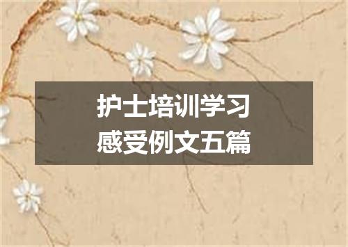 护士培训学习感受例文五篇