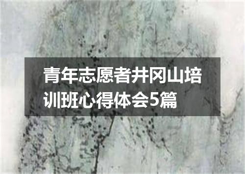 青年志愿者井冈山培训班心得体会5篇