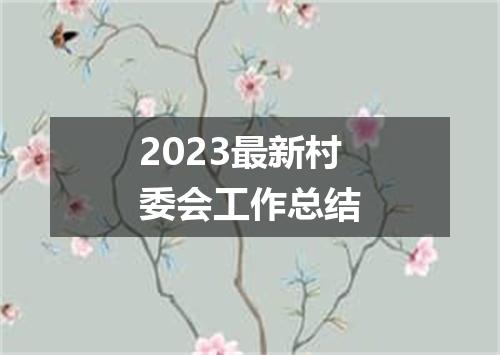 2023最新村委会工作总结