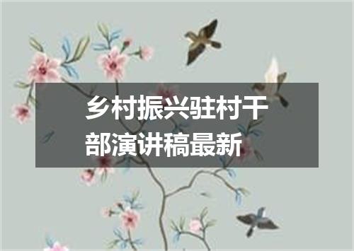 乡村振兴驻村干部演讲稿最新