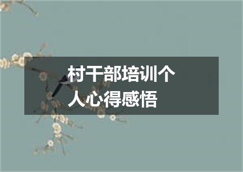 村干部培训个人心得感悟