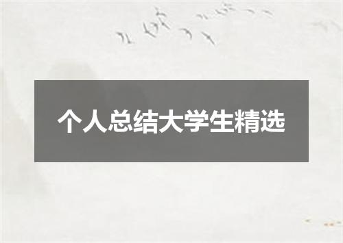 个人总结大学生精选