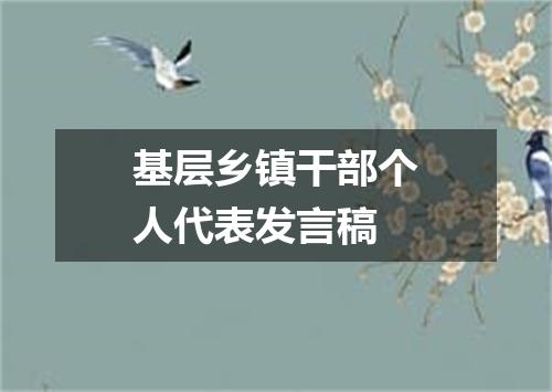 基层乡镇干部个人代表发言稿