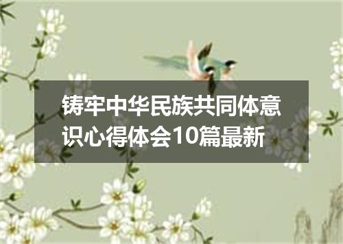 铸牢中华民族共同体意识心得体会10篇最新
