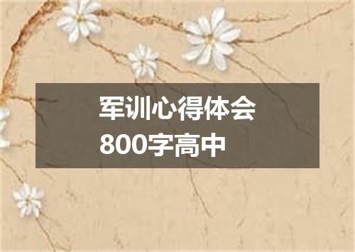 军训心得体会800字高中