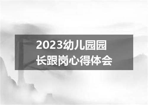 2023幼儿园园长跟岗心得体会