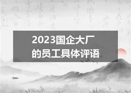 2023国企大厂的员工具体评语