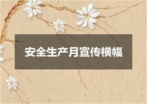 安全生产月宣传横幅