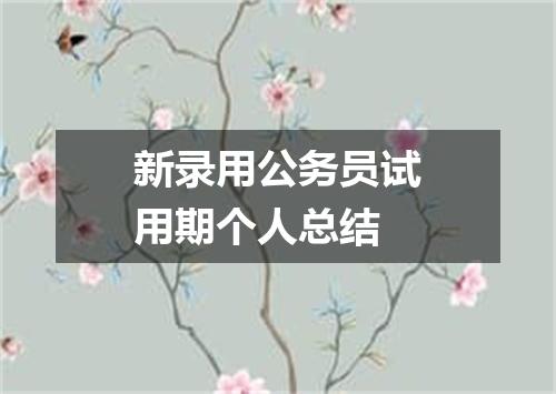 新录用公务员试用期个人总结
