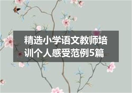 精选小学语文教师培训个人感受范例5篇
