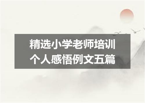 精选小学老师培训个人感悟例文五篇