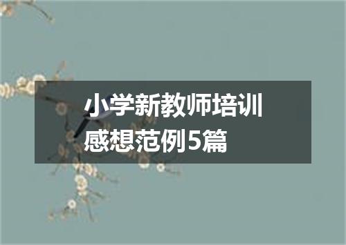 小学新教师培训感想范例5篇