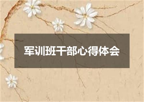 军训班干部心得体会