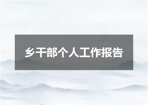 乡干部个人工作报告