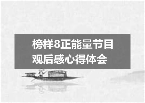 榜样8正能量节目观后感心得体会