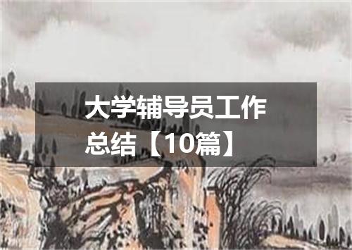 大学辅导员工作总结【10篇】