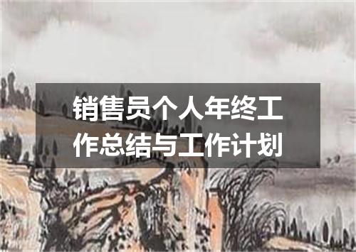 销售员个人年终工作总结与工作计划