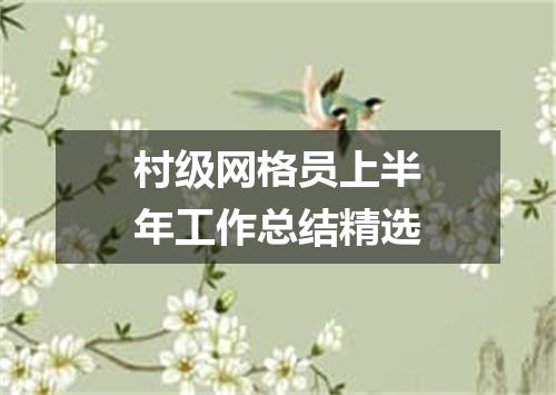 村级网格员上半年工作总结精选