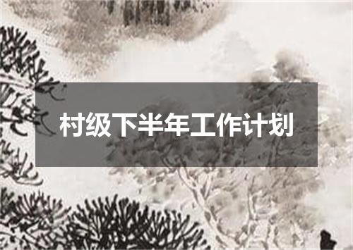 村级下半年工作计划