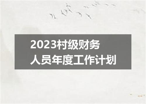 2023村级财务人员年度工作计划