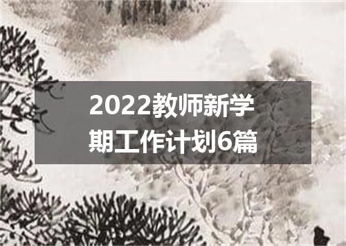 2022教师新学期工作计划6篇