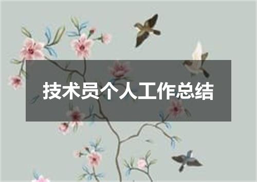 技术员个人工作总结